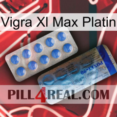 Vigra Xl Max Platinum 40